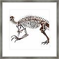 Painting Allosaurus Skeleton Dinosaur Fossil Anim Framed Print