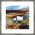 Painting Of Connemara Sheep By The Lakes Of Connemara Framed Print