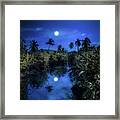 Pale Moonlit Night Framed Print