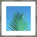 Palm Frond Tropical Blue Framed Print