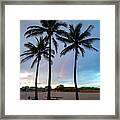 Palm Tree Rainbow, South Beach, Miami, Florida Framed Print