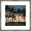 Palm Tree Sunset, South Beach, Miami, Florida Framed Print