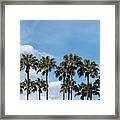 Palm Trees Against Blue Sky, At Tropical Coast Framed Print