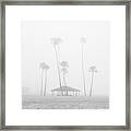Palm Trees In Fog At Oceanside Framed Print