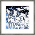 Palm Trees Mirage Framed Print