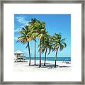Palm Trees On The Beach, Key Biscayne, Florida Framed Print