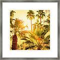 Palm Trees Palm Springs California 0492-100 Framed Print