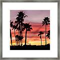 Palm Trees Silhouetted At Sunset Framed Print