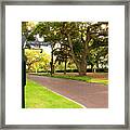 Palmetto Bluff Sc Framed Print