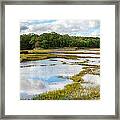 Panoramic Reflections Framed Print