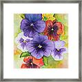 Pansies Watercolor Framed Print