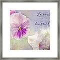 Pansy Time Framed Print