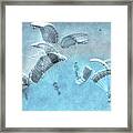 Parachute Framed Print