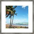 Paradise On The Coast, Pinones, Puerto Rico Framed Print