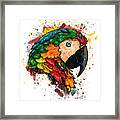 Parrot Portrait Painting On White Background, Macaw Parrot Framed Print
