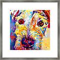 Parson Russell Terrier Framed Print
