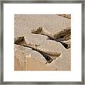 Pasargadae - Oldiron Staples Framed Print