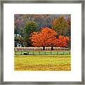 Pastoral Autumn Framed Print