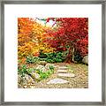 Path Through Autumn Framed Print