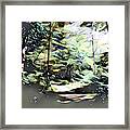 Path Through The Woods Framed Print