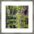 Patient Reflections Framed Print
