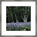Peace Comes In A Blue Wood Framed Print