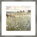 Peaceful Pastures 03 Framed Print