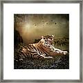 Peaceful Resolve Framed Print