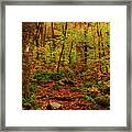 Peak Color In Vermont On The Appalachian Trail Framed Print