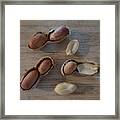 Peanuts In The Shell Framed Print