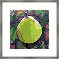 Pear 1212 Framed Print