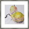 Pears Framed Print