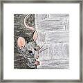 Peeking Mouse Framed Print