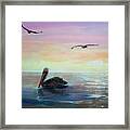 Pelican Beach Framed Print