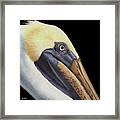 Perfectly Poised Framed Print