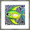 Perplexed Contentment Fish Framed Print