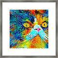 Persian Cat With Long Whiskers Close-up - Colorful Mosaic Framed Print