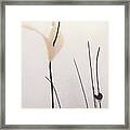 Petals And Stems Framed Print