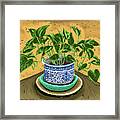 Philodendron In Blue And White Pot Framed Print