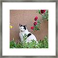 Phoebe At The Garden Wall Framed Print