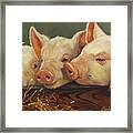 Pig Heaven Framed Print