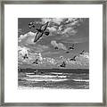 Pigeons At The Beach Bw Framed Print