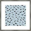 Pigeons Doing Pigeon Things Framed Print