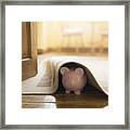 Piggy Bank Under Rug Framed Print