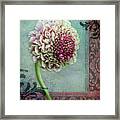 Pincushion Collage-right Framed Print