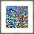 Pine Tree Framed Print