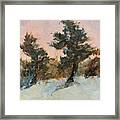 Pines In The Wind Framed Print