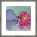 Pink Asters Beauty Framed Print