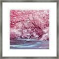 Pink Enchanted River Forest Framed Print