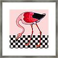 Pink Flamingo Framed Print